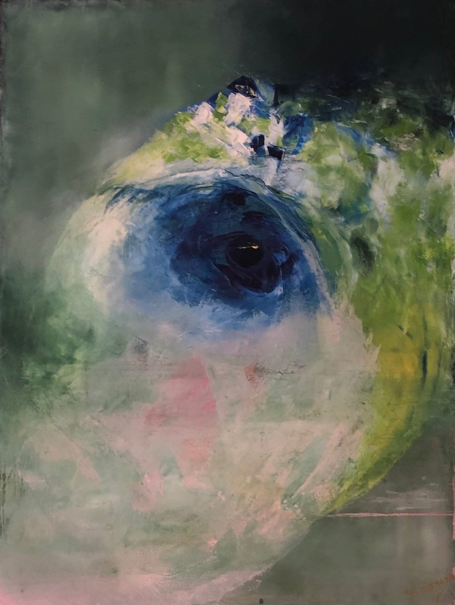 Eye by Ludmila Budanov