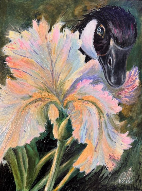 Between Feather and Bloom