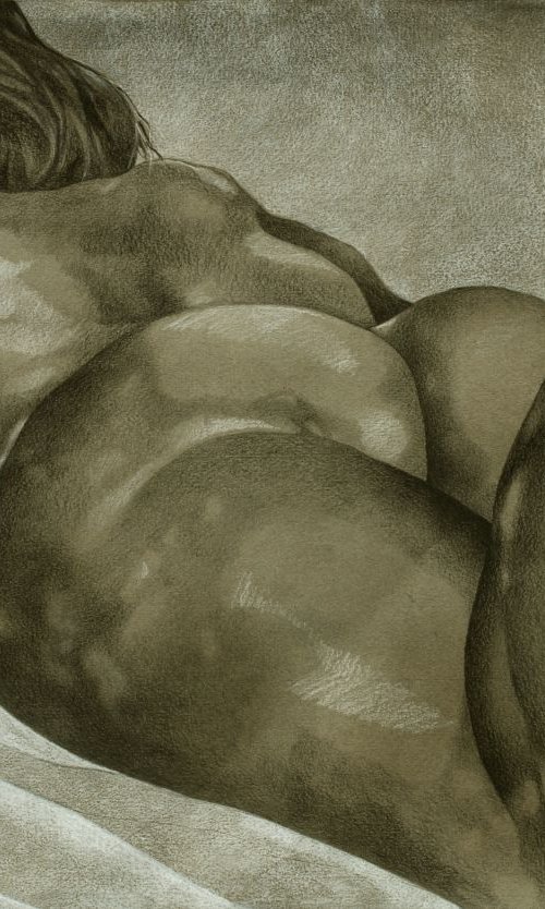 Beautiful Curves by Jo Beer
