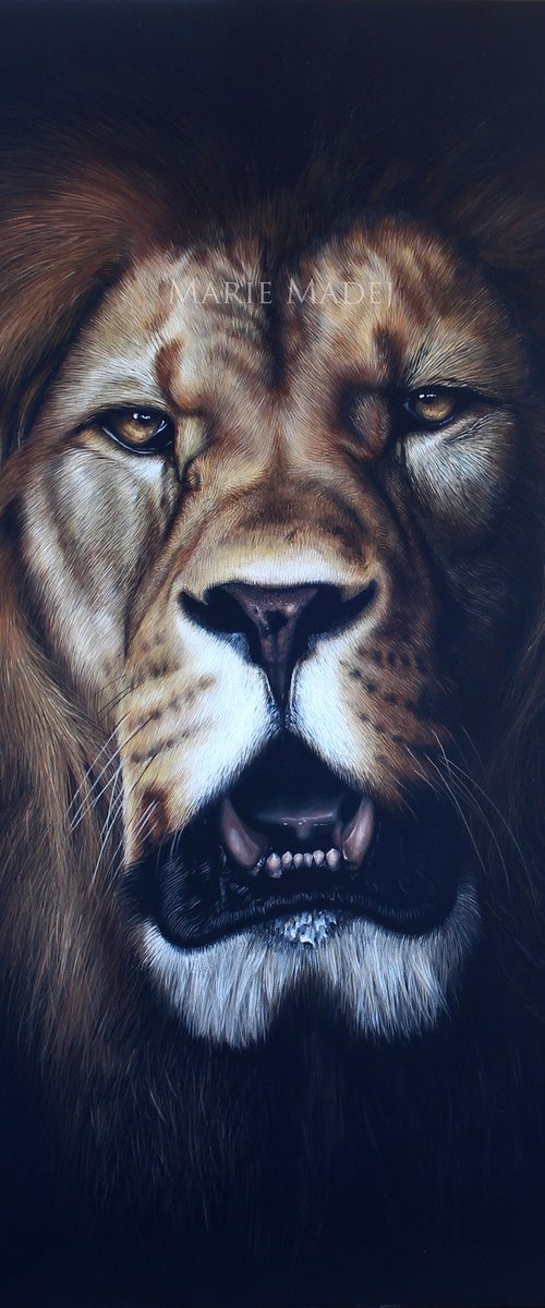 The King by Marie Madej
