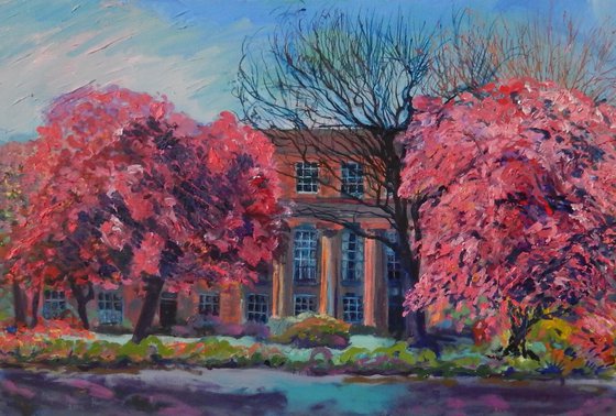 Blossoming Cherry Trees in St Bernard's Crescent, Edinburgh