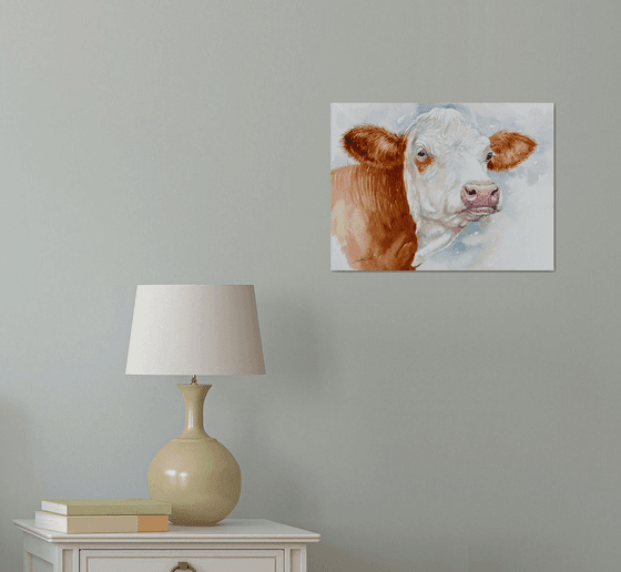 Hereford Cow _Hetty