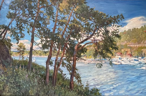 Pines on the island