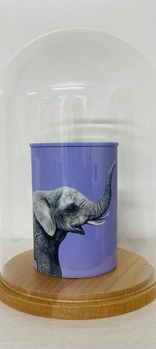 Elephant Can by Louise McNaught