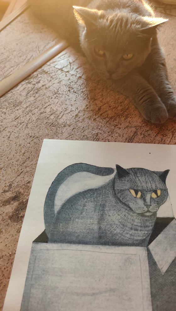 My Cat Theodor.