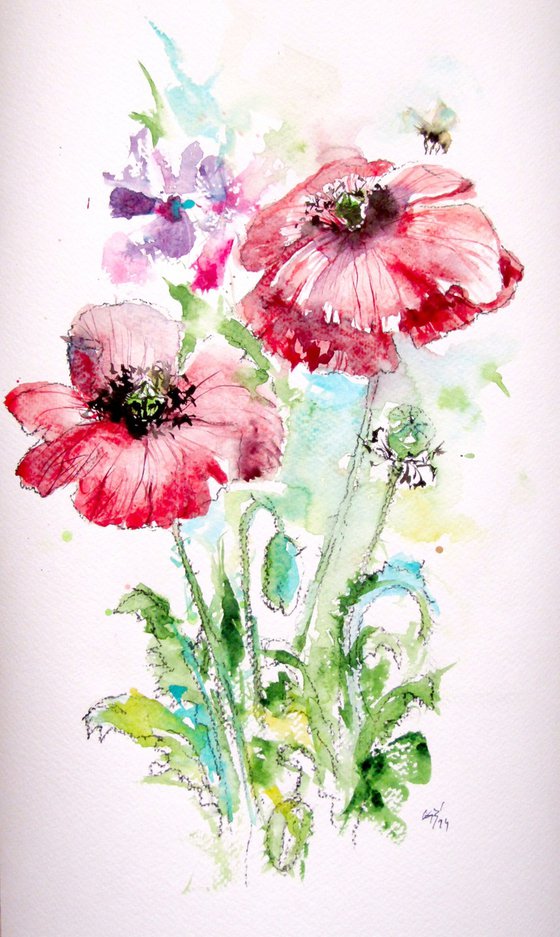 Red poppies with bee