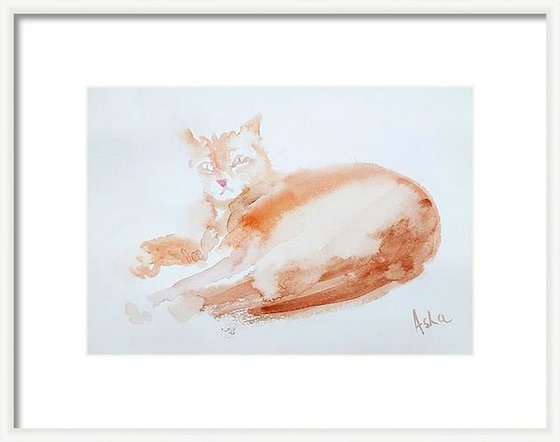 The Orange cat