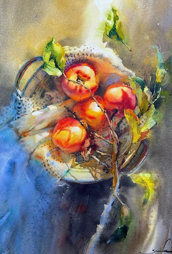 Apple painting watercolor. The Basket of Apples