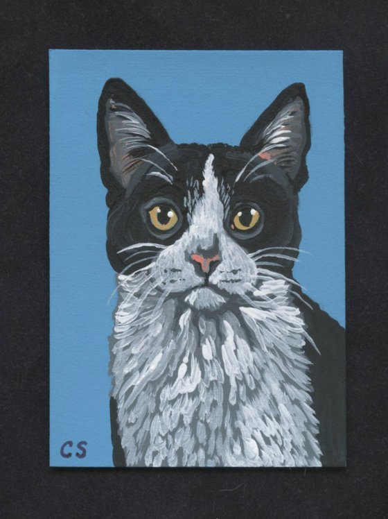 ACEO ATC Original Miniature Painting Black White Tuxedo Cat Pet Art-Carla Smale