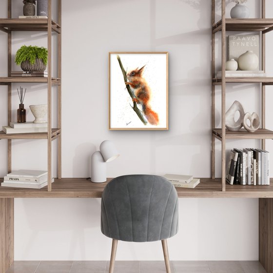 Squirrel on the tree