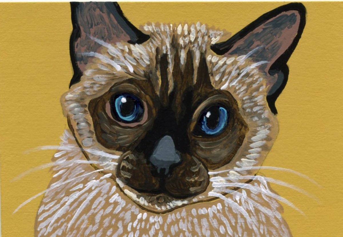 Siamese Cat by Carla Smale