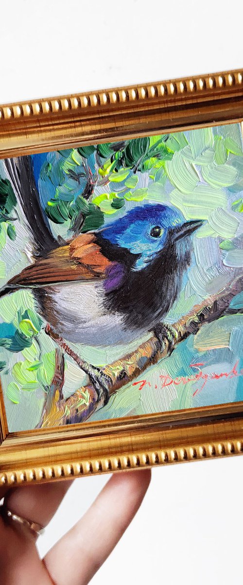 Fairywren bird painting by Nataly Derevyanko