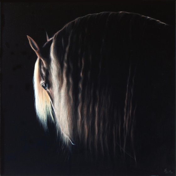 Light on the horse's mane