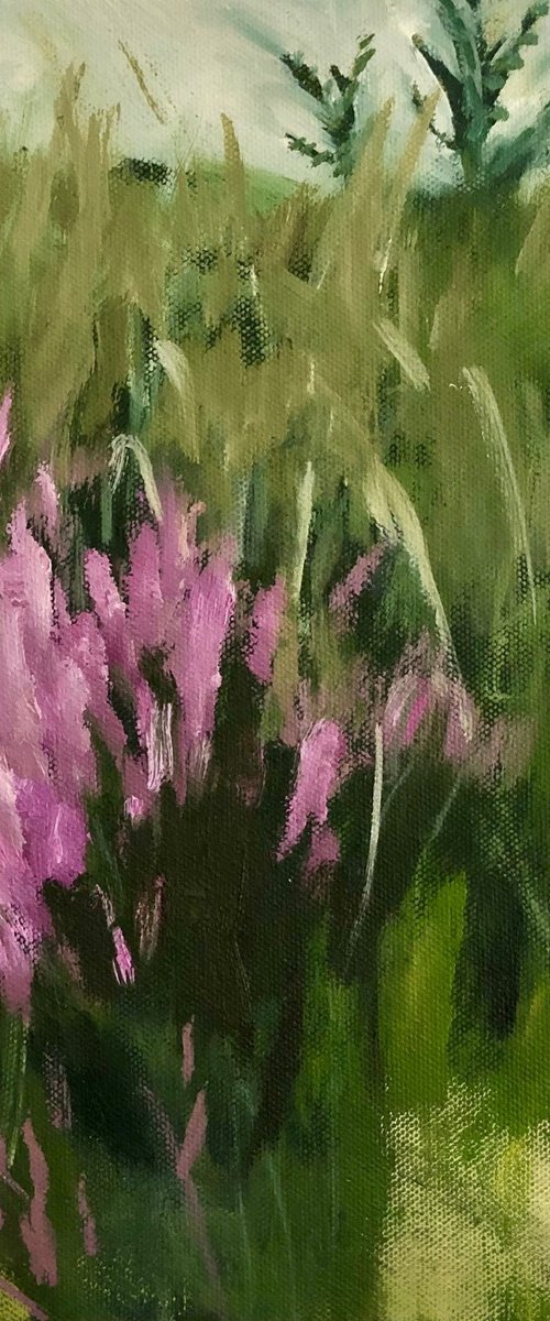 Hill Top by Joanna Farrow