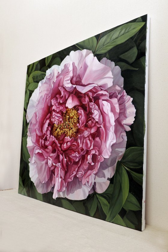 peony flower