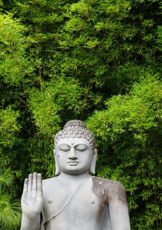 Buddha and Bamboo