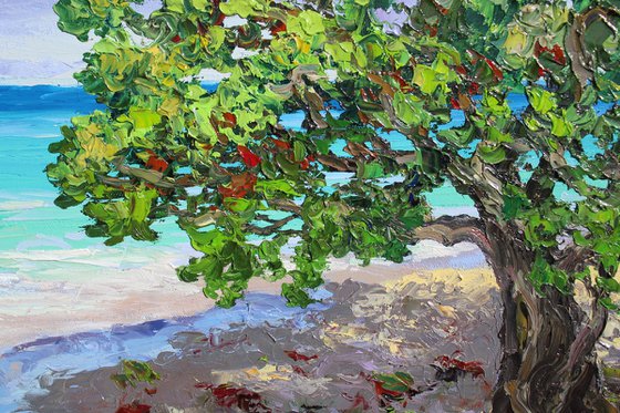 A Place In The Shade