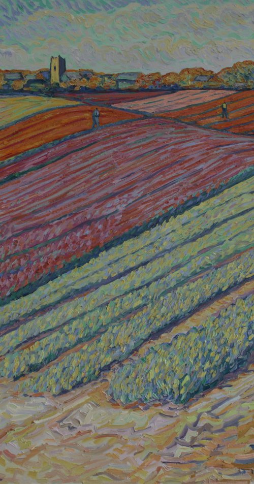Tulip field, Norfolk by Nigel Dickerson