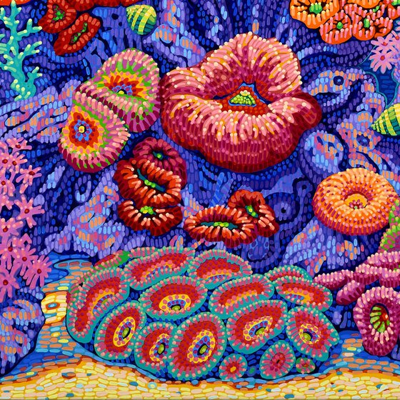 Coral Garden