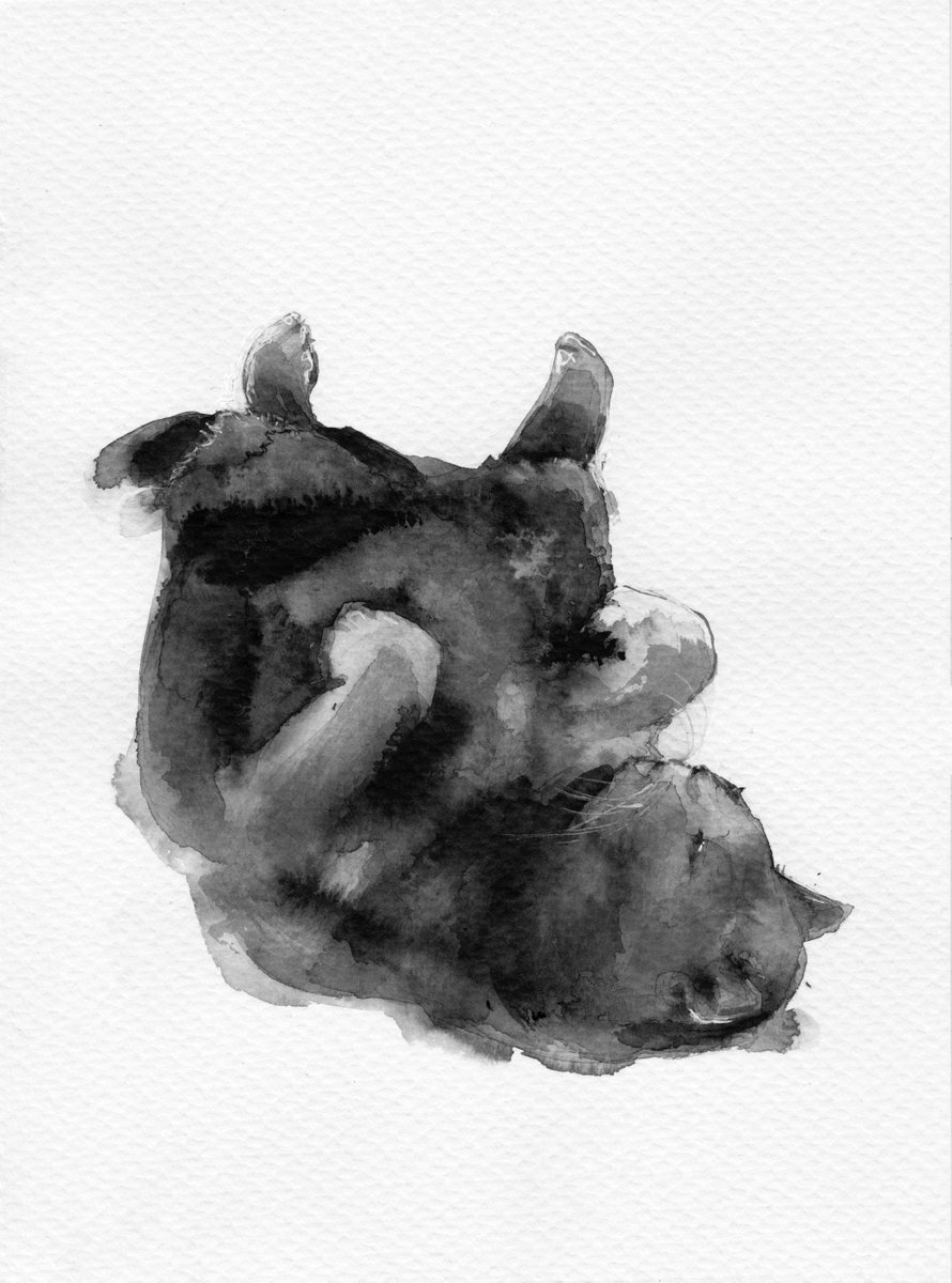 Expressive Animal Ink Drawing By Doriana Popa, 7 X 9, Cat Sleeping, Original Artwork