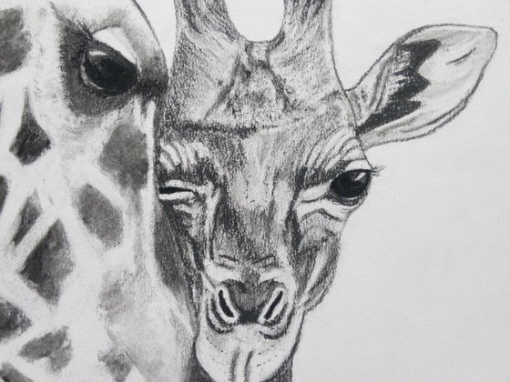 Giraffe mum and baby