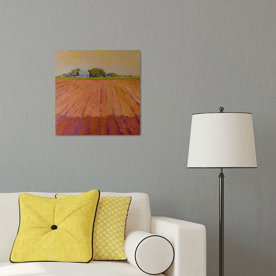 Midwest. Farmland in Evening