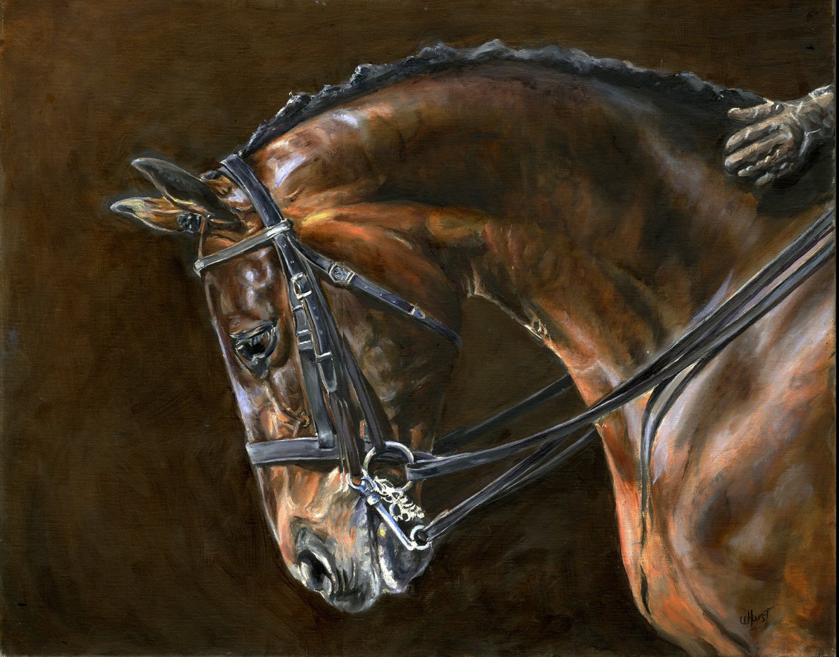 Horse head bay horse 2 by Una Hurst