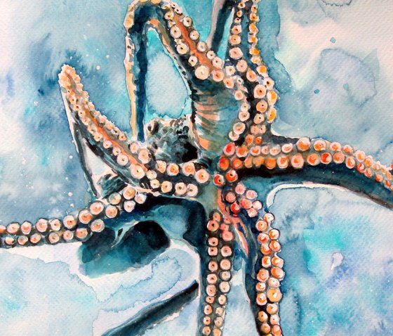 Octopus