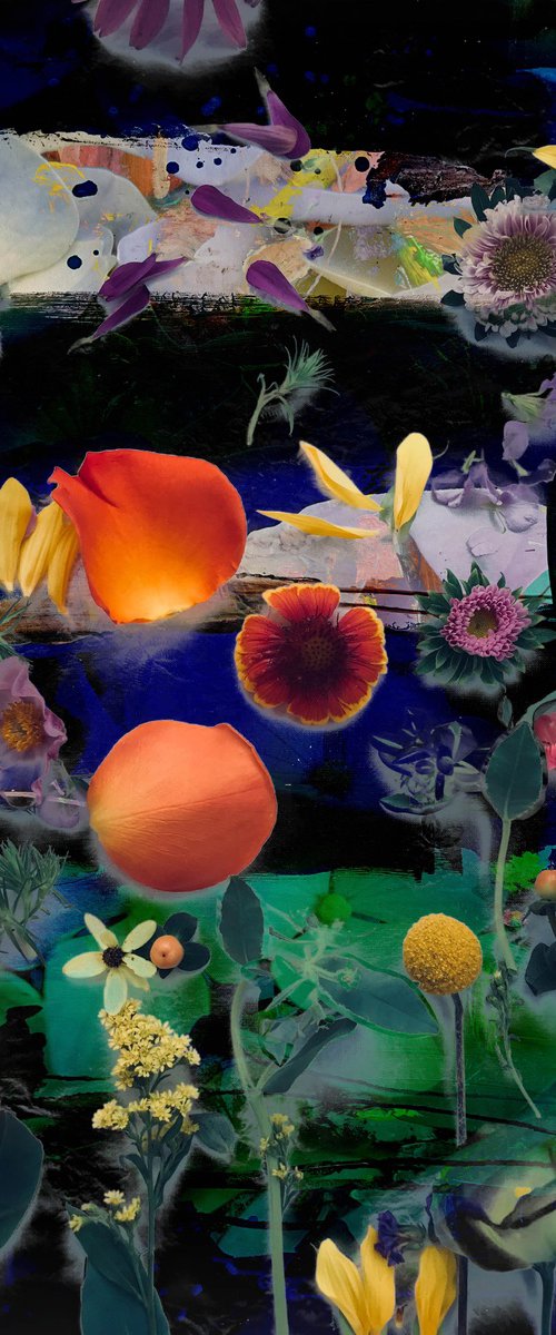 Summer colors 23 by Geert Lemmers FPA