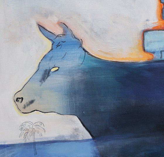 Cow and Hotel Salut