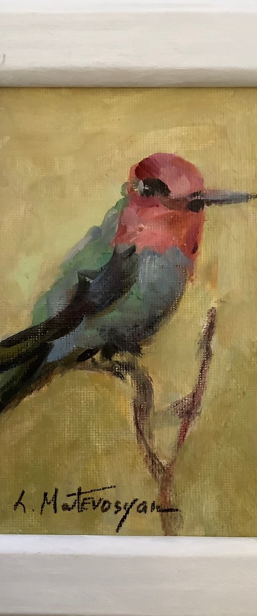 Hummingbird by Lia Matevosyan Haselton