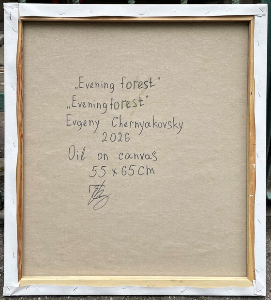 "Evening forest "
