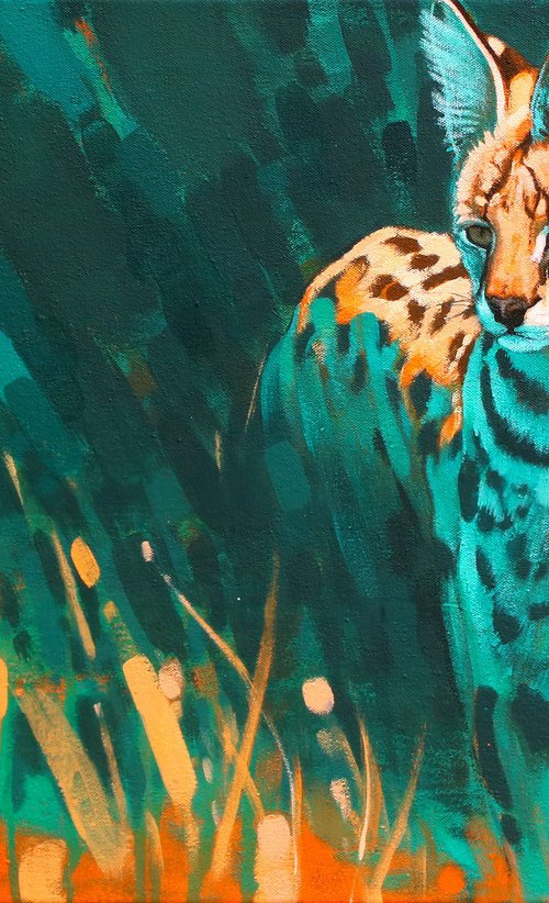 Out of the Shadows by Heather Irvine