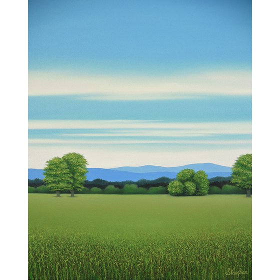 Lush Grass - Blue Sky