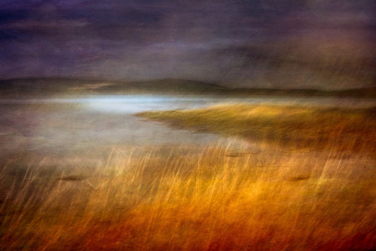 Abstract Landscape Photograph By Lynne Douglas, 64 X 44", Fabric Of The Land Ii, Original Artwork