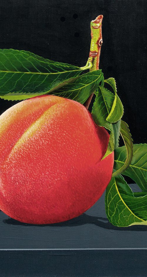 Peach Dressed In Green by Dietrich Moravec