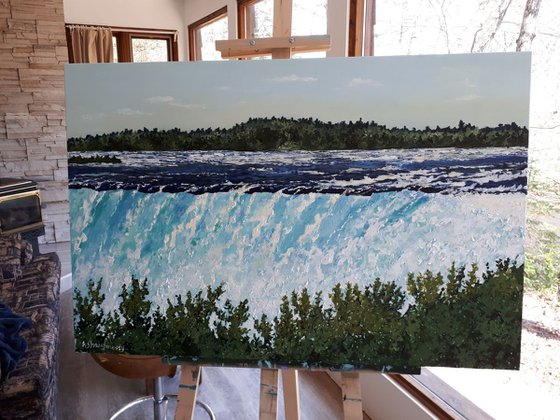 Horseshoe Falls Landscape waterscape