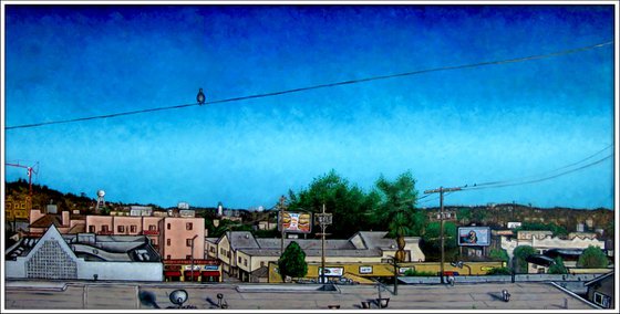 "Birds Outside My Window"