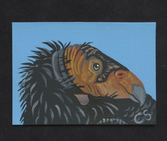 ACEO ATC Original Painting California Condor Vulture Wildlife Bird Art-Carla Smale