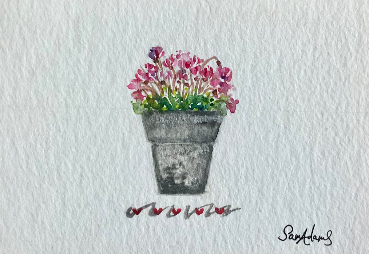 Cyclamen flower pot by Samantha Adams