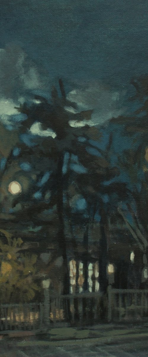 Moonlight II by Joanna Plenzler