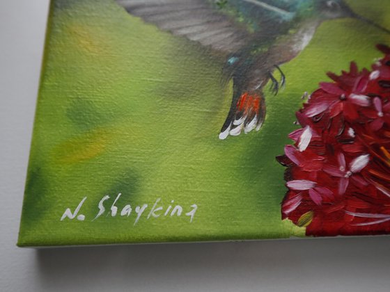 Hummingbird and Red Blossoms