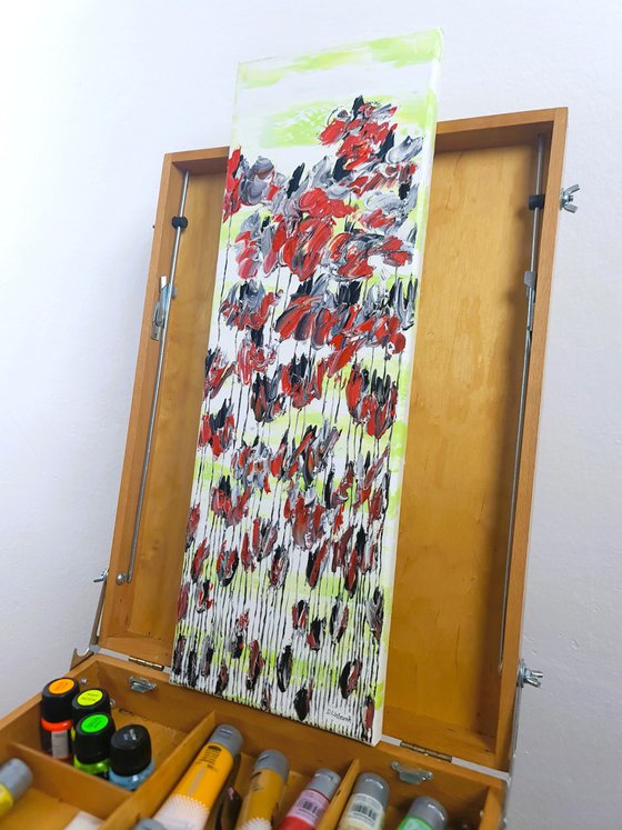 Poppy Flowers 1