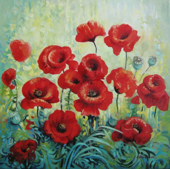 Field of red poppies