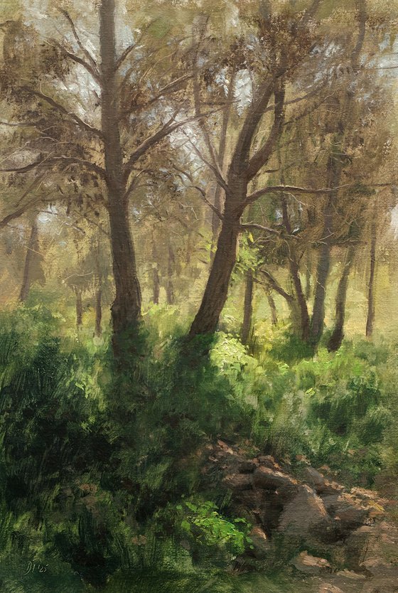 Spring in the forest