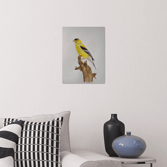 American goldfinch