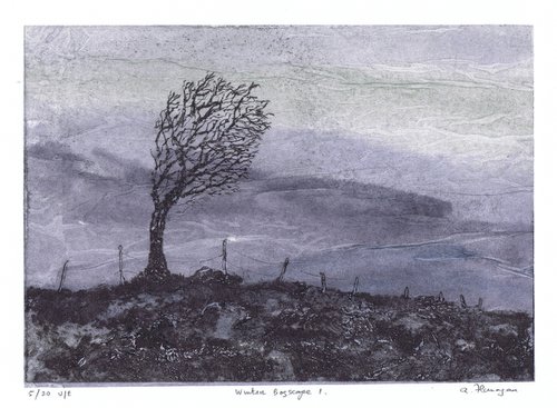 Winter Bogscape 1 -  Ireland by Aidan Flanagan Irish Landscapes