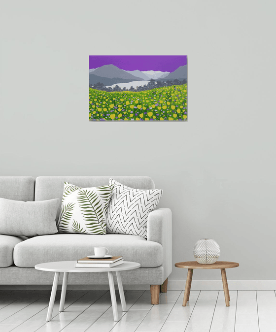 Buttercups above Loweswater, Lake District