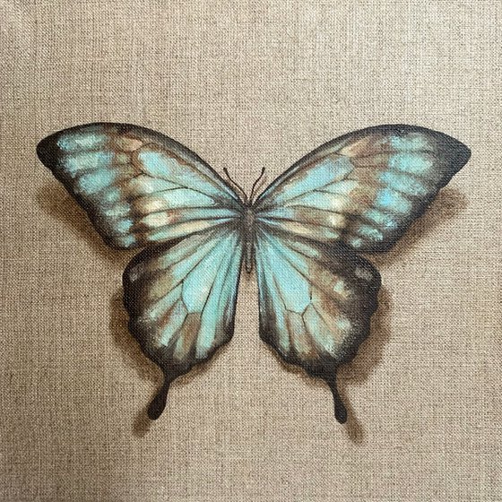 “Impermanent life”, work #17 Turquoise butterfly