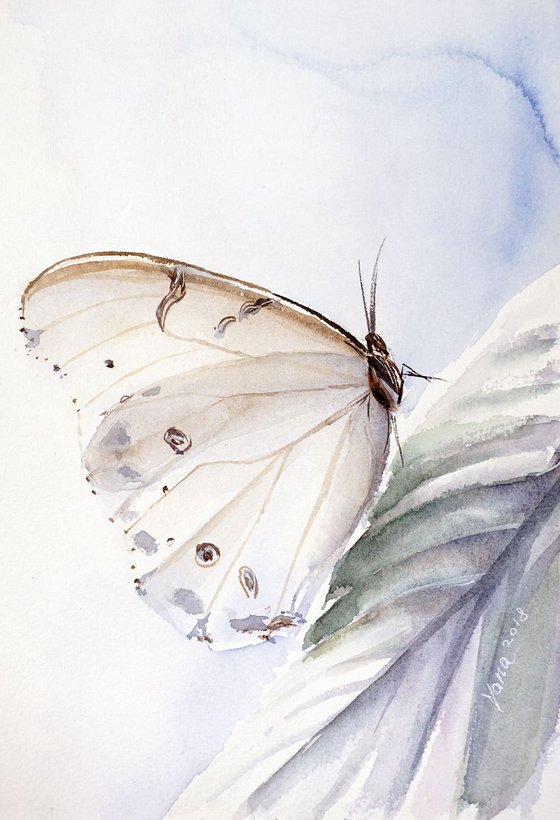 White Butterfly ORIGINAL Watercolor Painting - Minimalism Art